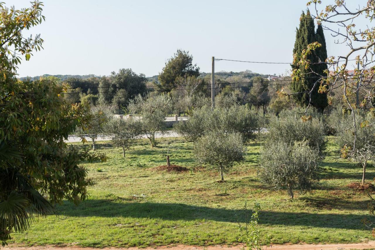 Studio Andrea Rovinj Exterior photo
